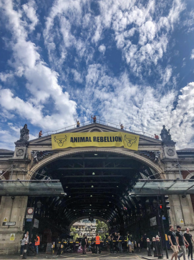 Why 10,000 Animal Rebels are Occupying Smithfield Market in October