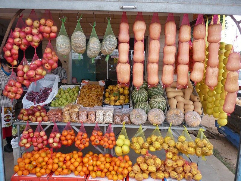 What Would a Plant-Based World Be Like?