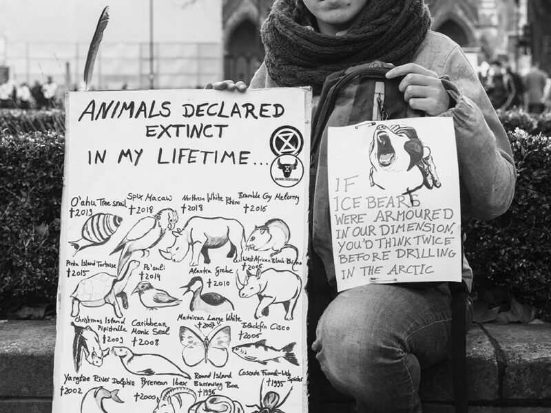 The Rebellion Has Brought the Climate Crisis to the Forefront… Now It Is Time to Address Speciesism