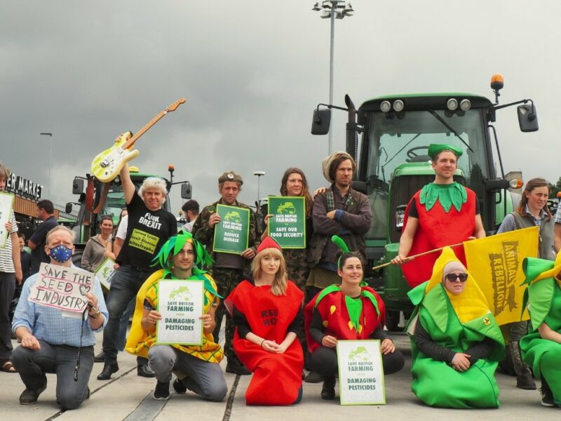 Why Is Animal Rebellion Standing with UK Farmers