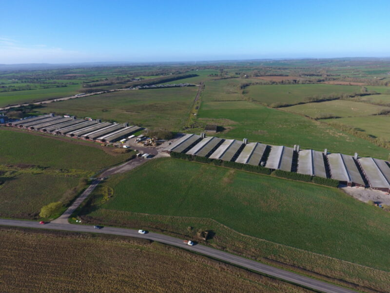 Intensive Animal Farming Operations Are Rapidly Expanding around the UK and DEFRA’s Farm Subsidies Are Largely to Blame