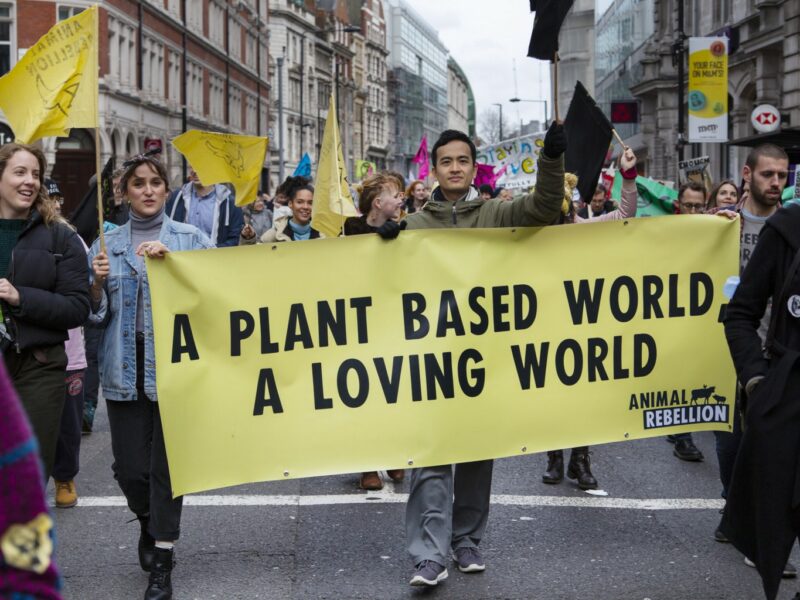 Who Is Animal Rebellion? The Worldwide Movement.