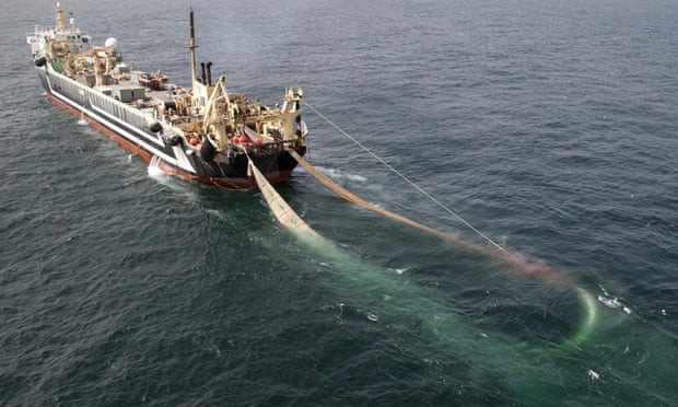 Supertrawlers: The Boats You Didn’t Know Are Ruining Our Seas
