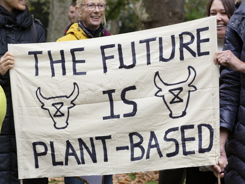 What is the Future of Animal Farmers?