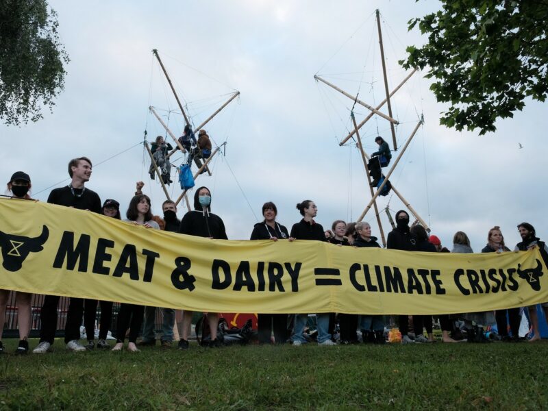 Animal Rebellion Holds Blockade At McDonald’s Only Burger Factory For More Than 24H