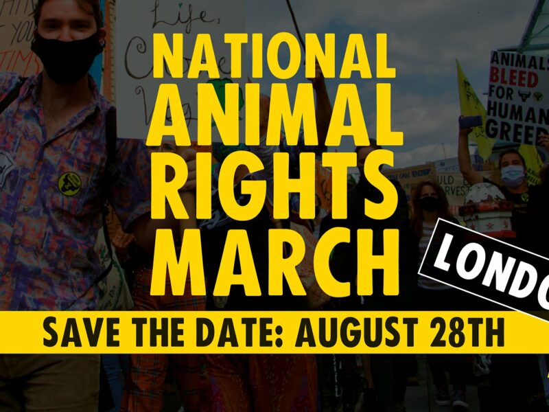 Why We Are Marching To Unilever