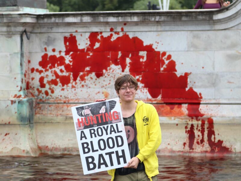 Animal and climate protesters dye Buckingham Palace fountains blood red