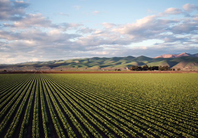 How a just and sustainable plant-based food system could change the world