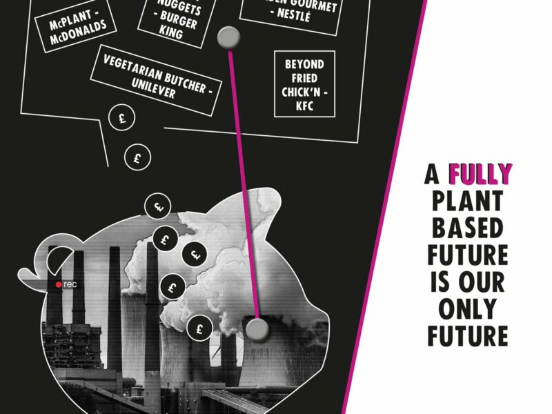 Joining the dots between the climate crisis and a plant-based food-system
