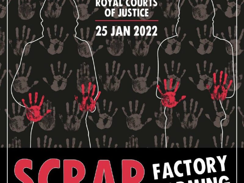 Animal Rebellion supports those taking the UK government to court today over factory farming 
