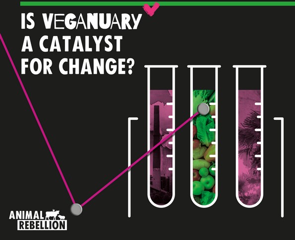 Veganuary, Food System Change and the Responsibility of Corporations