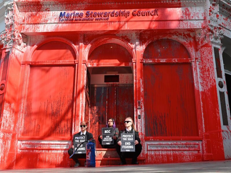 Animal Rebellion paints the Marine Stewardship Council red to demand the end of fishing