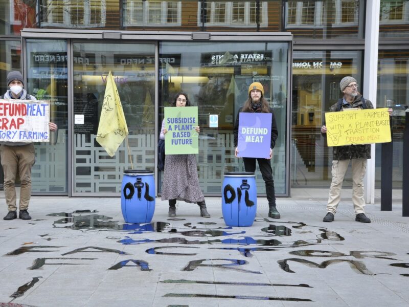 “Factory Farming is Fuelled by Oil”, say Environmental Campaigners