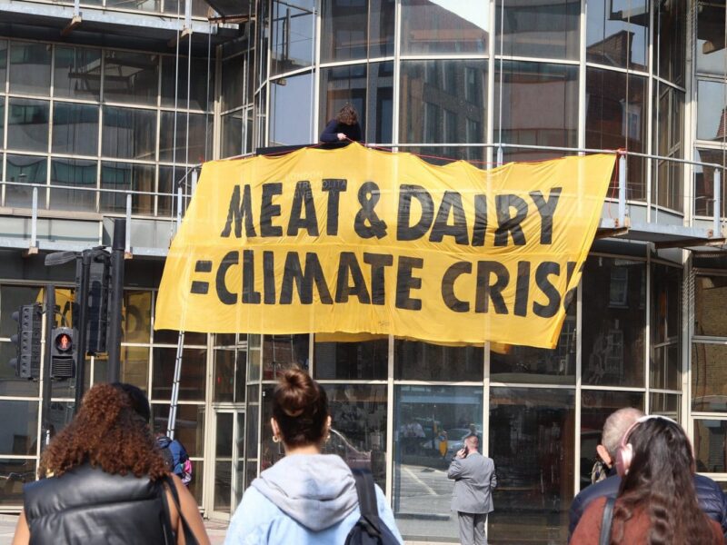 Plant-Based Universities: Taking The UK By Storm