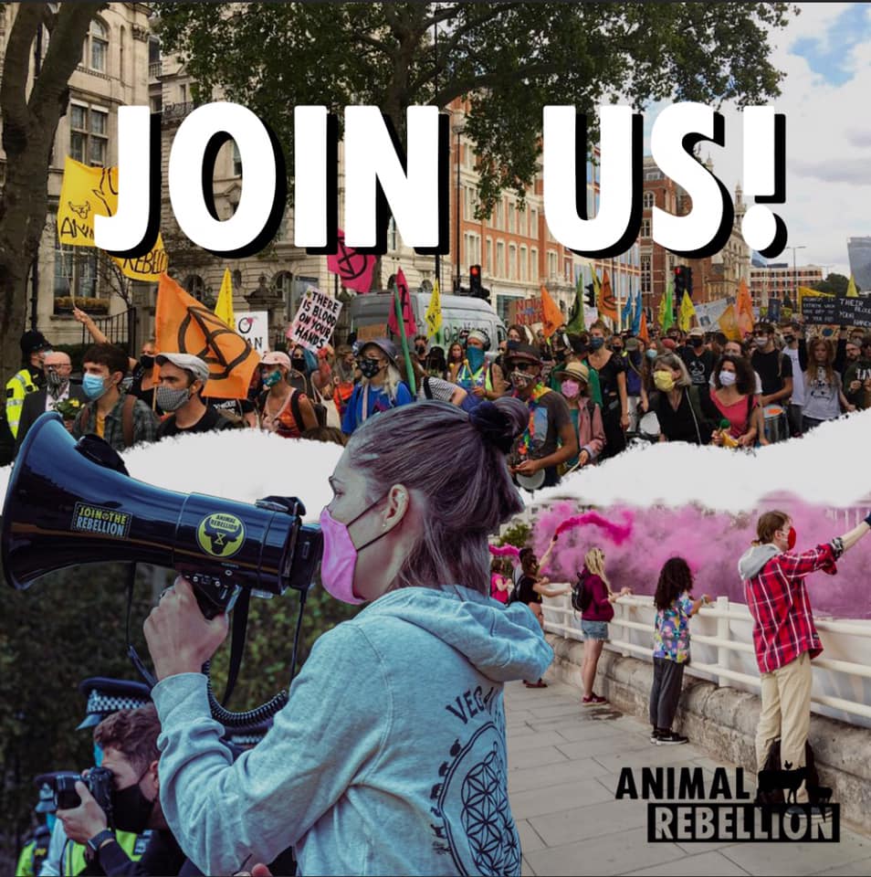 join us!