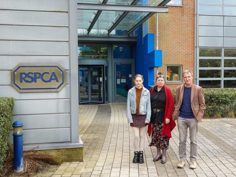 Ex-RSPCA trustees urge charity to take lead on plant-based transition