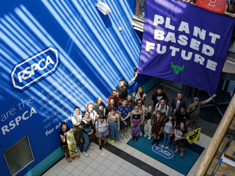 Animal Rebellion Occupies RSPCA HQ