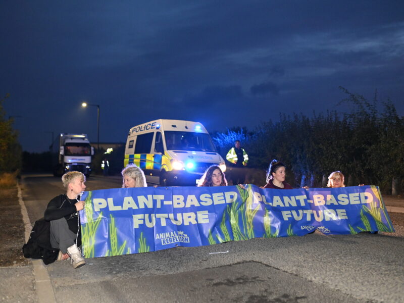 Milk Supply To Midlands And South Of England Cut Off As Animal Rebellion Supporters Blockade 4 Key Dairy Distribution Centres